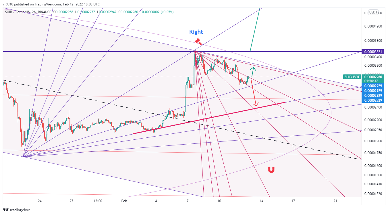 BINANCE:SHIBUSDT Chart Image by vr9910