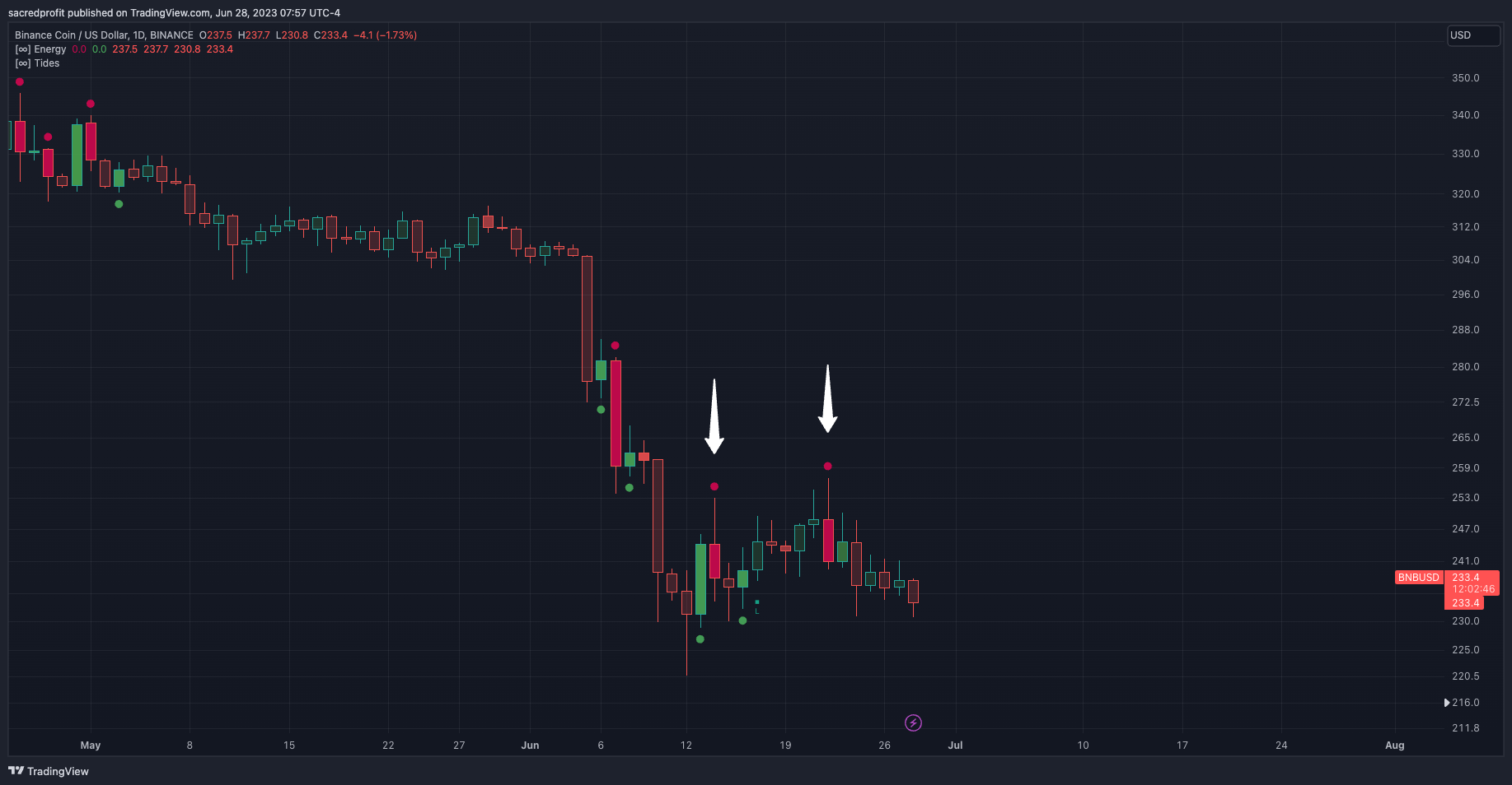 BINANCE:BNBUSD Chart Image by sacredprofit