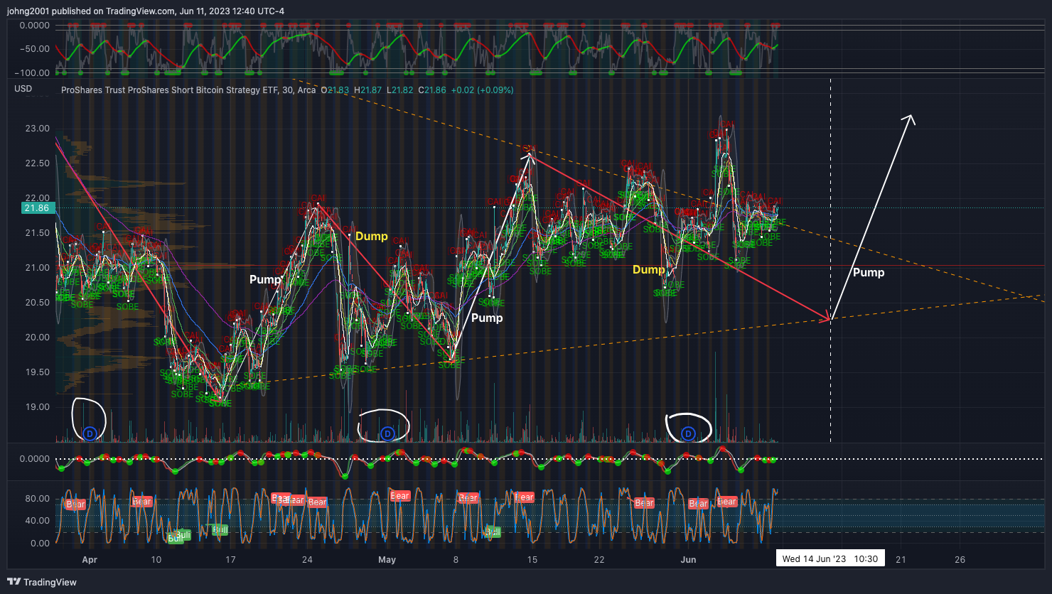 AMEX:BITI Chart Image by johng2001