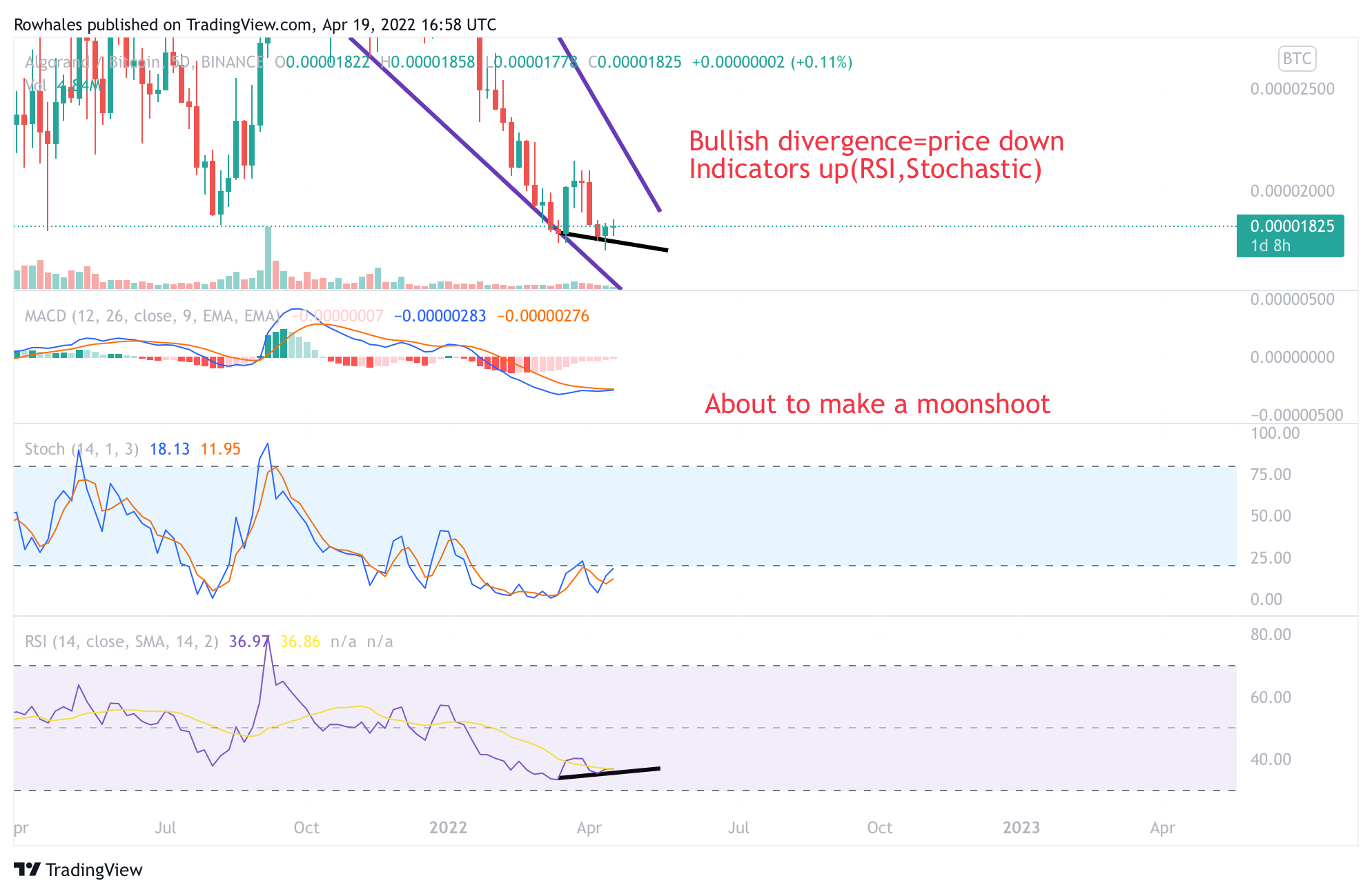 BINANCE:ALGOBTC Chart Image by Rowhales