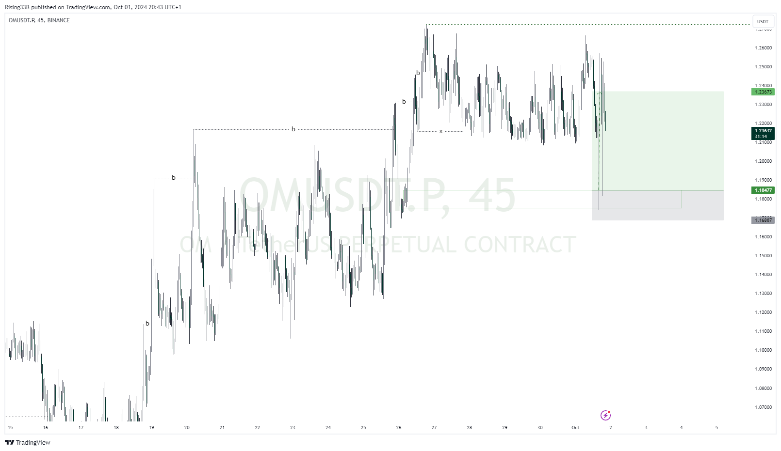 BINANCE:OMUSDT.P Chart Image by Rising33B