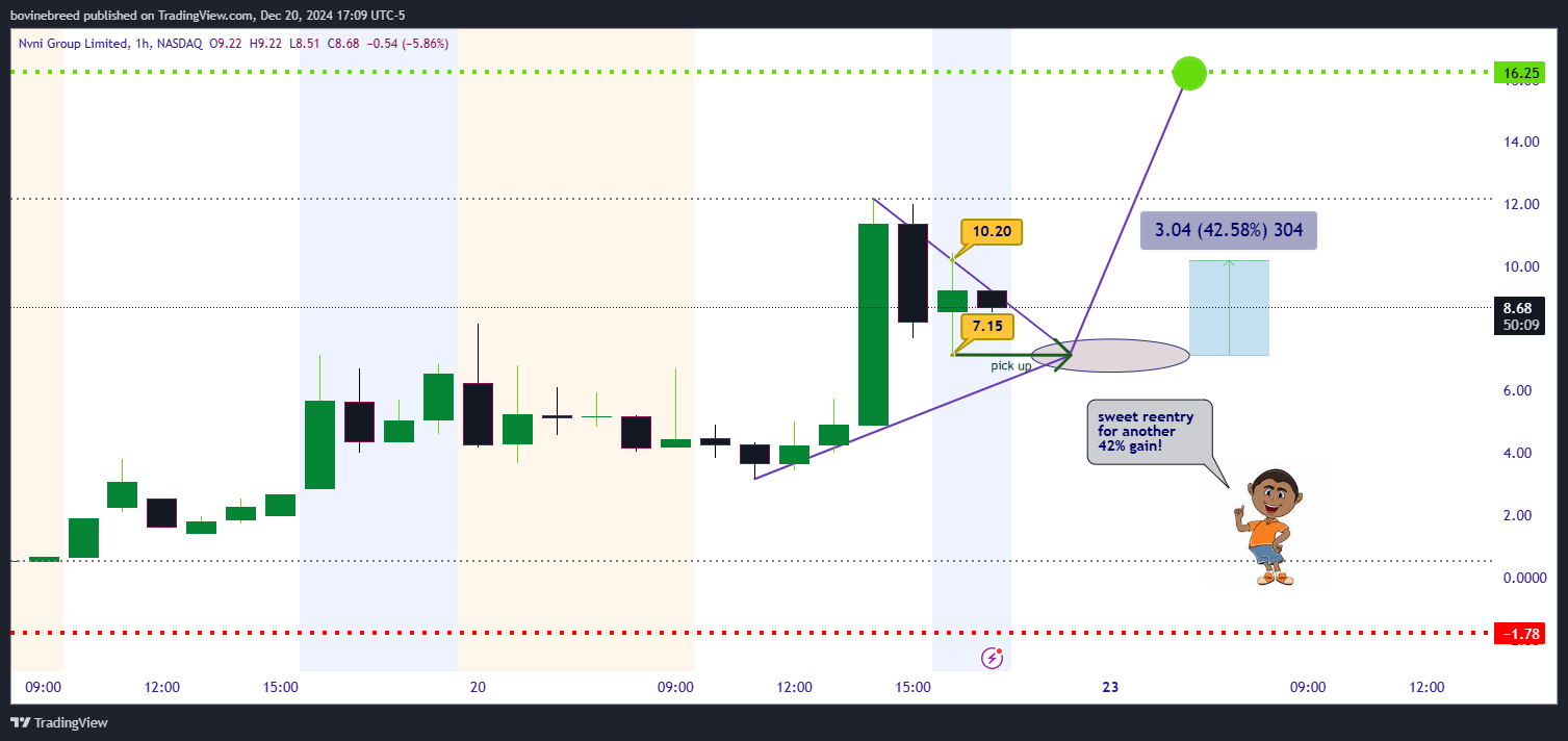 BATS:NVNI Chart Image by bovinebreed