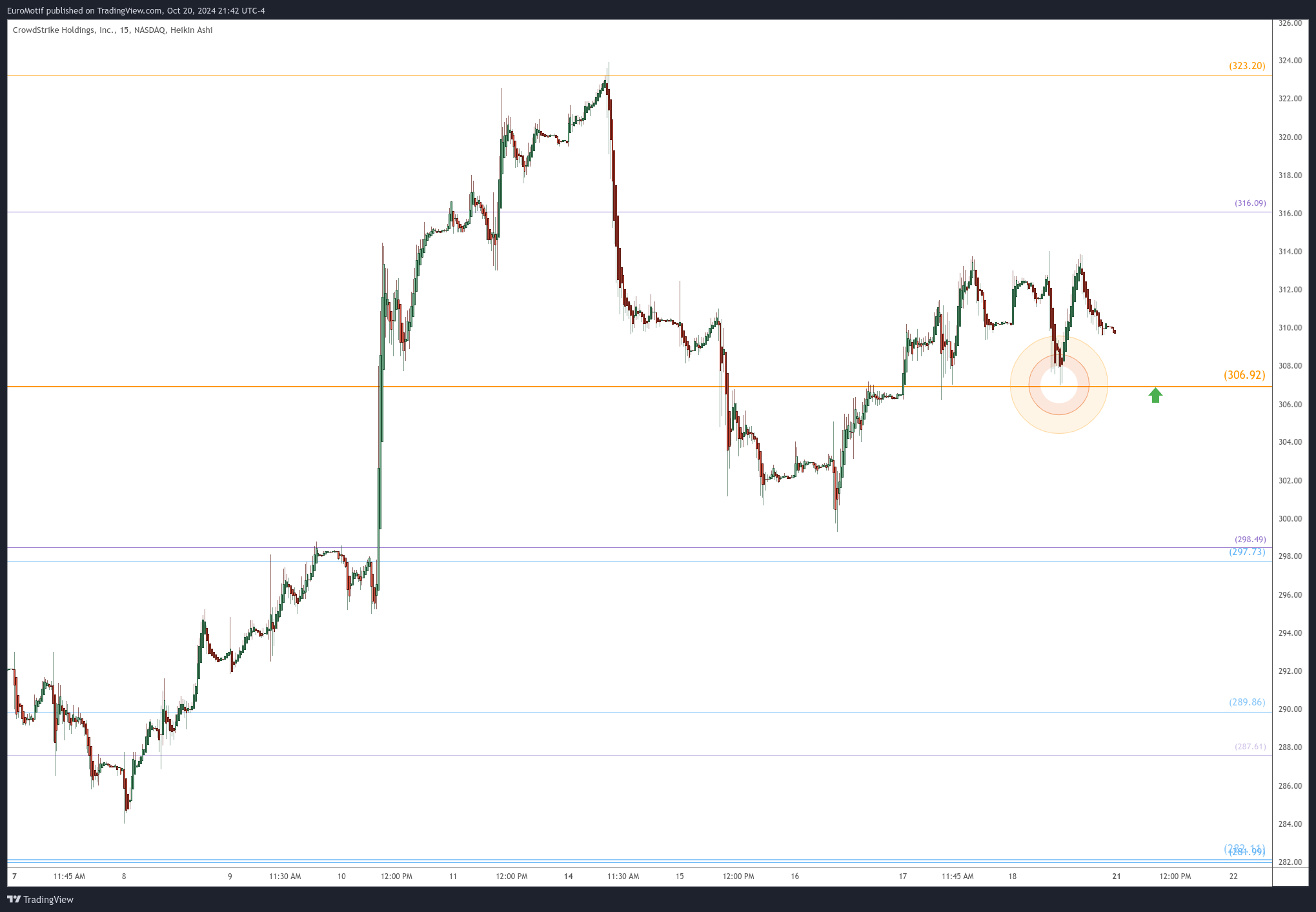 BATS:CRWD Chart Image by EuroMotif