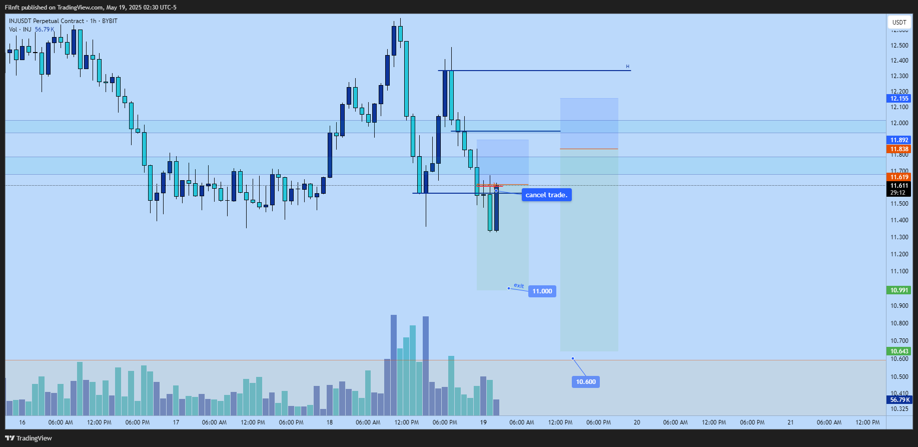 BYBIT:INJUSDT.P Chart Image by Filnft