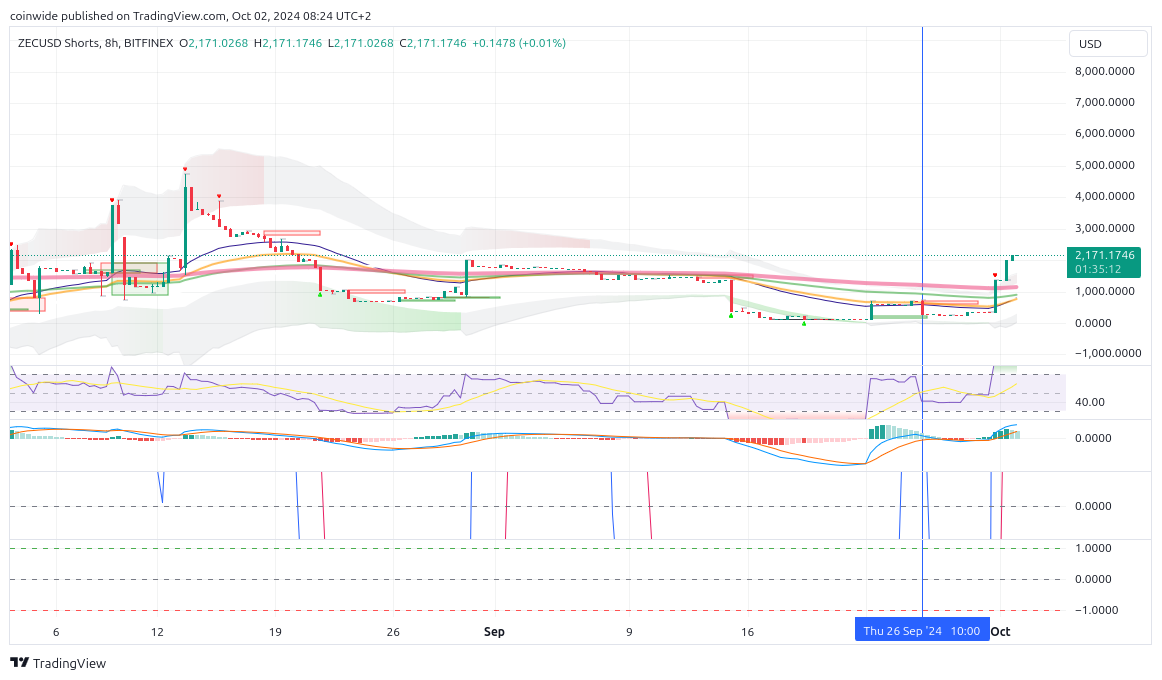BITFINEX:ZECUSDSHORTS Chart Image by coinwide