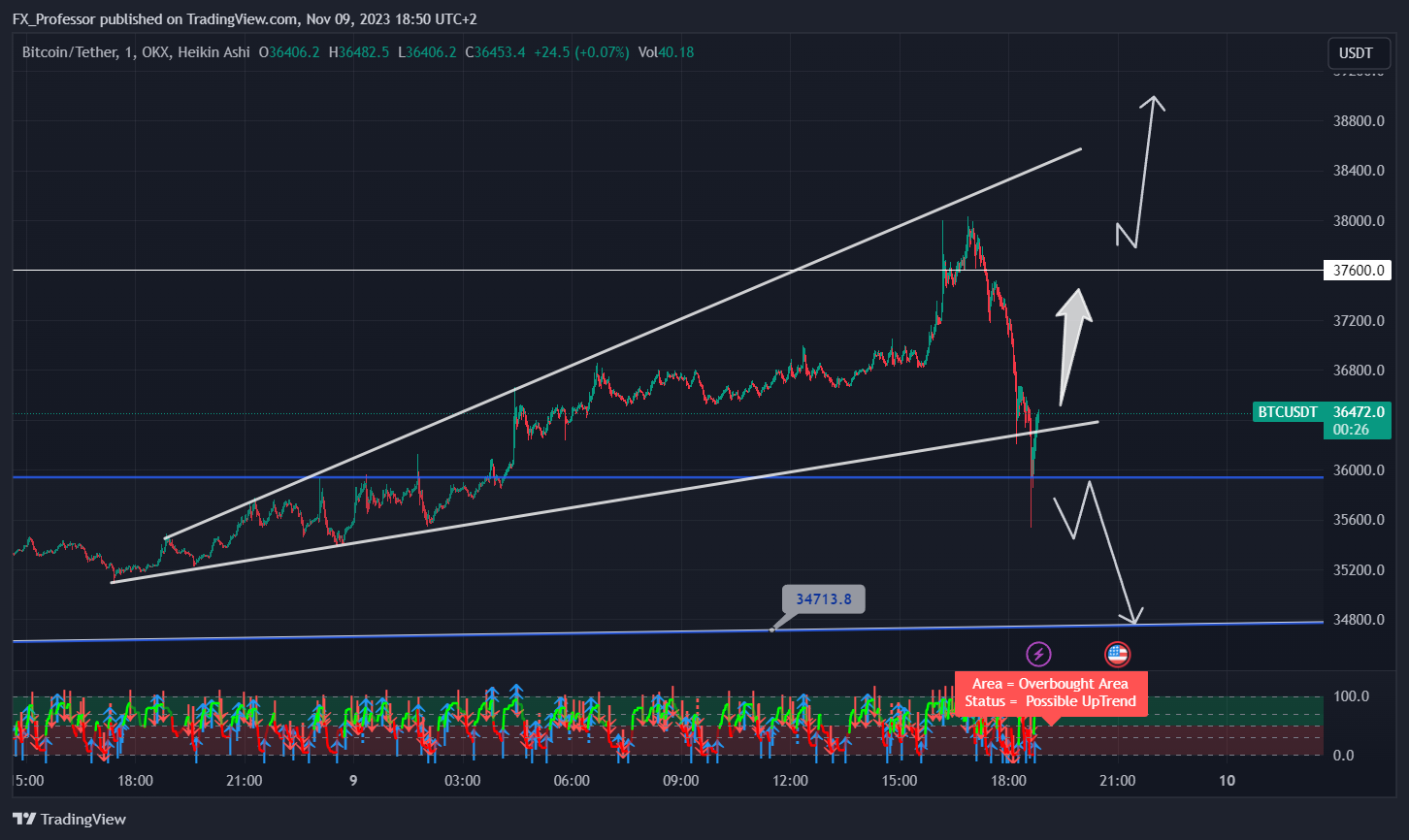 OKX:BTCUSDT Chart Image by FX_Professor