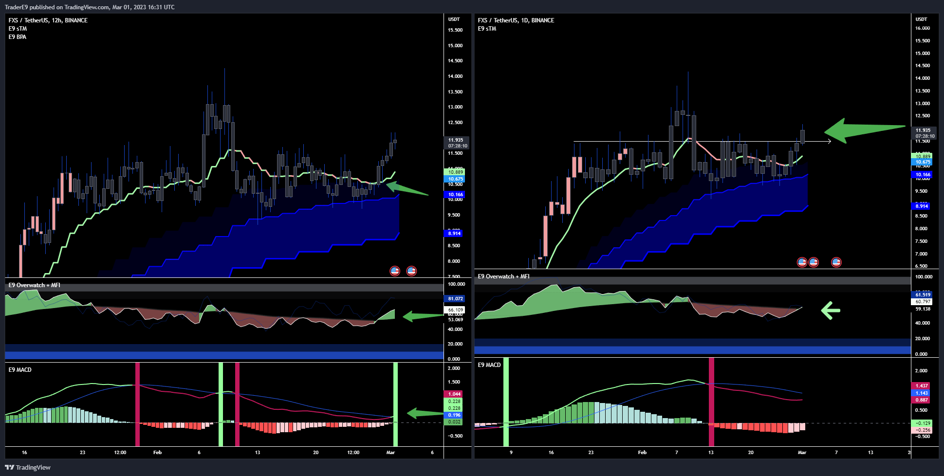 BINANCE:FXSUSDT Chart Image by E9XBT