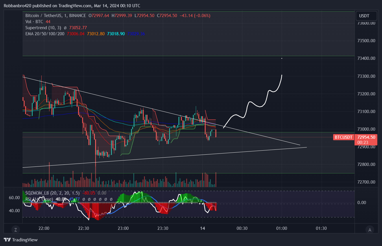 BINANCE:BTCUSDT Chart Image by Robbanbro420