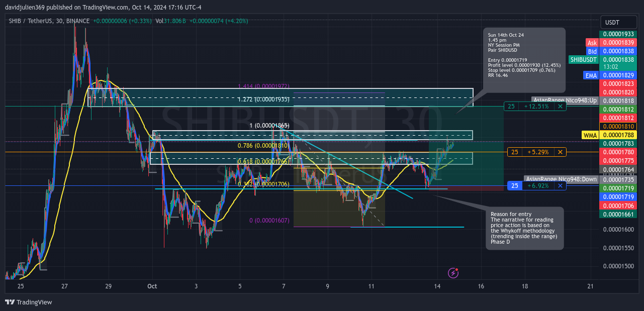 BINANCE:SHIBUSDT Chart Image by davidjulien369