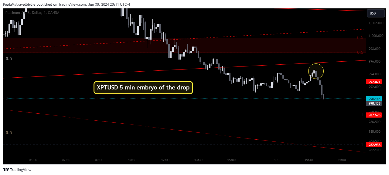 OANDA:XPTUSD Chart Image by PopiaMytravelbirdie