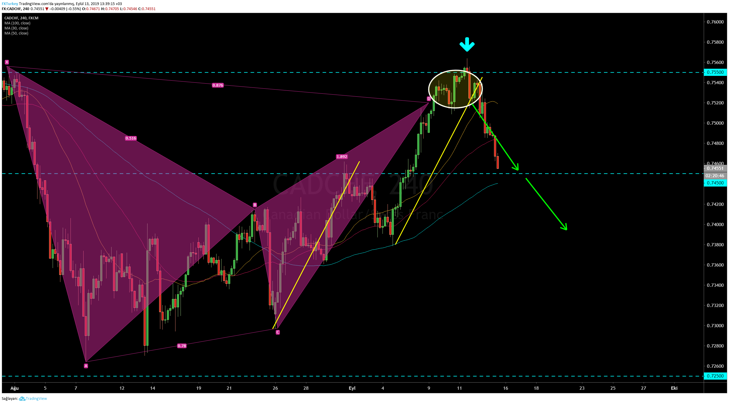  Chart Image