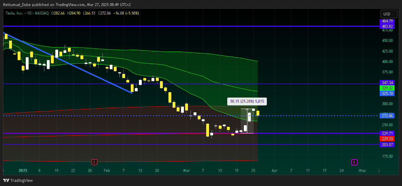 BATS:TSLA Chart Image by Bekiumuzi_Dube