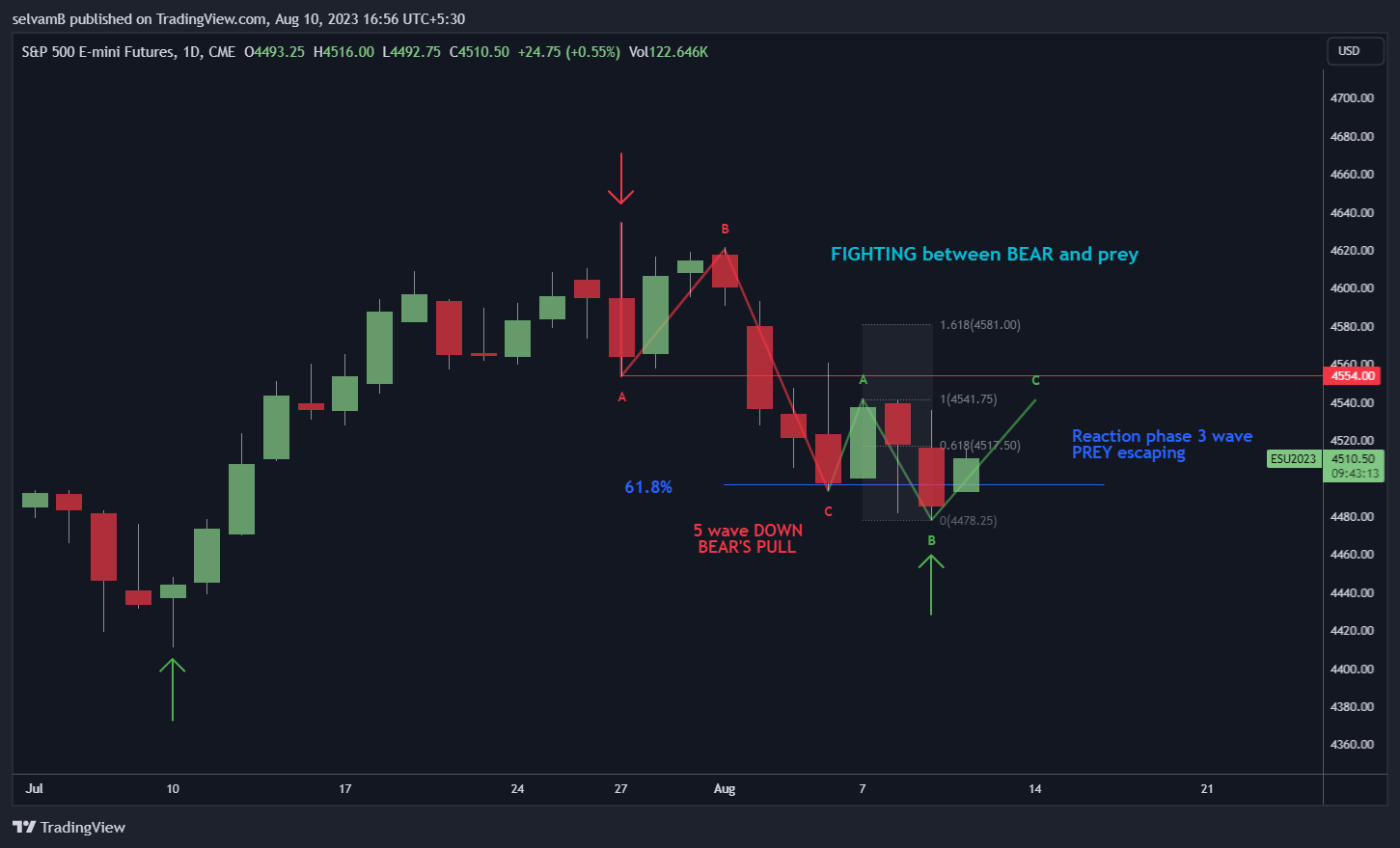 CME_MINI:ES1! Chart Image by selvamB