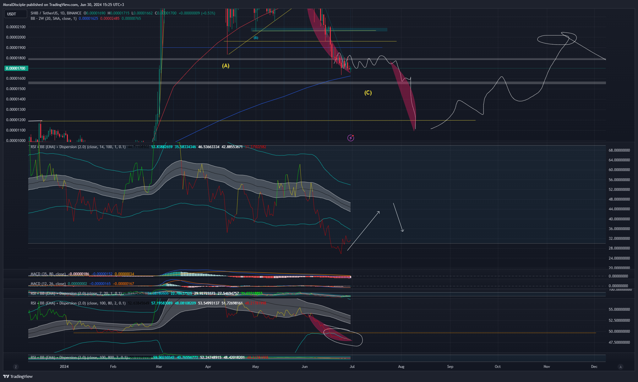 BINANCE:SHIBUSDT Chart Image by MoralDisciple