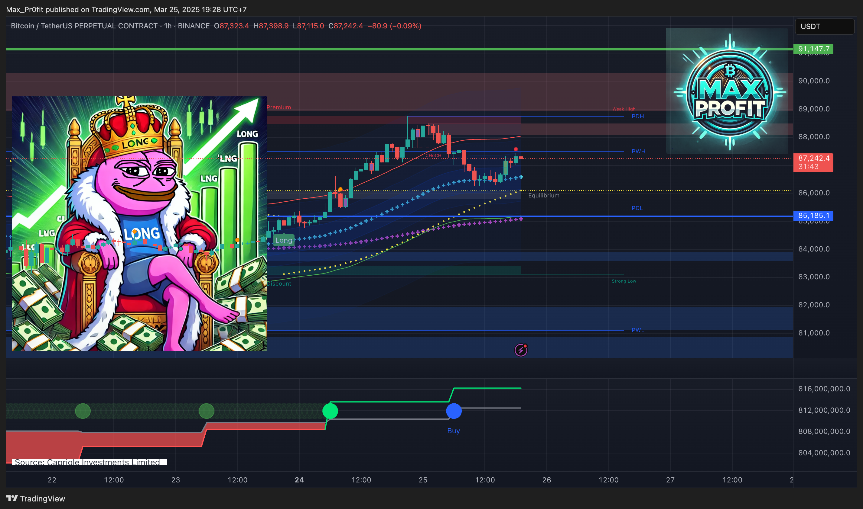 BINANCE:BTCUSDT.P Chart Image by Max_Pr0fit
