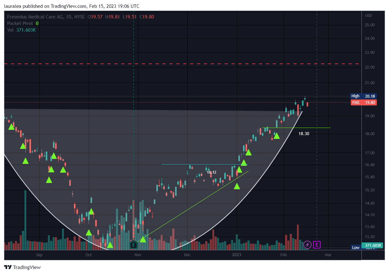 NYSE:FMS Chart Image by lauralea