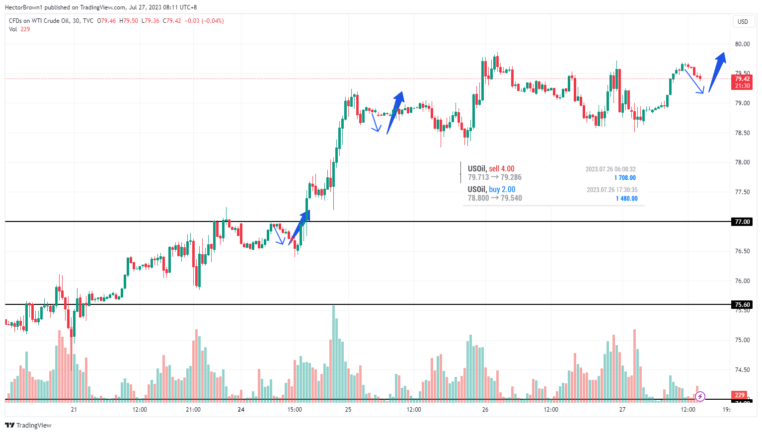 TVC:USOIL Chart Image by HectorBrown1