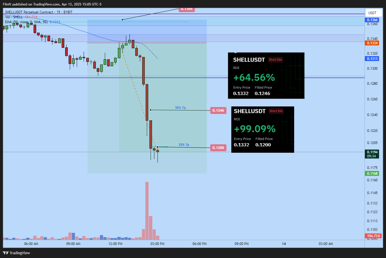BYBIT:SHELLUSDT.P Chart Image by Filnft