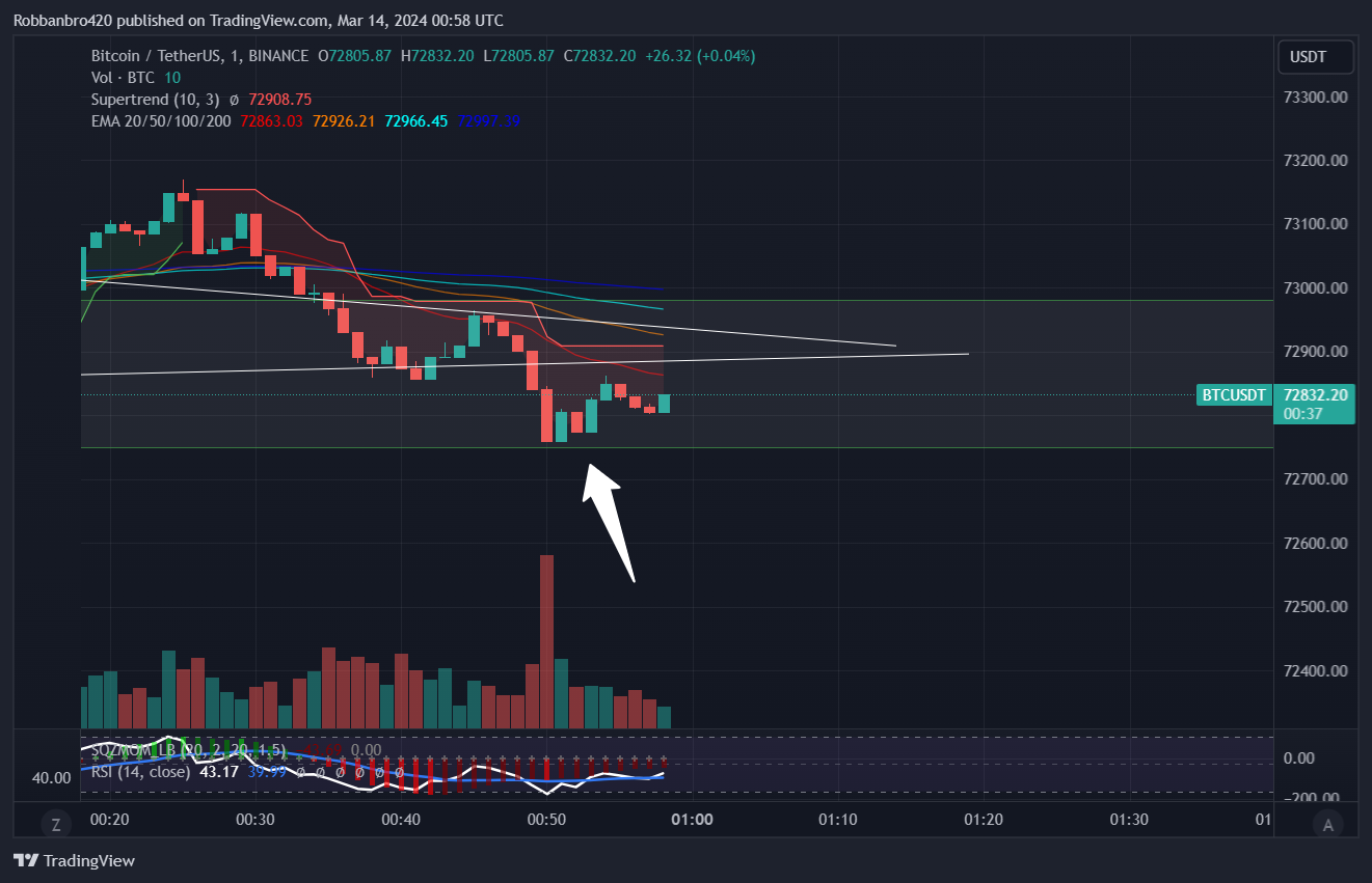 BINANCE:BTCUSDT Chart Image by Robbanbro420