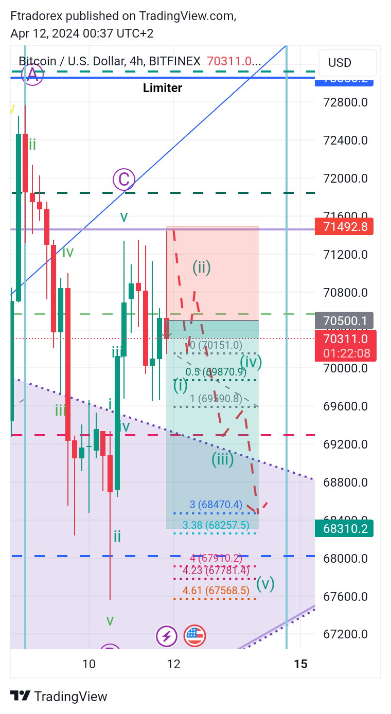 BITFINEX:BTCUSD Chart Image by Ftradorex