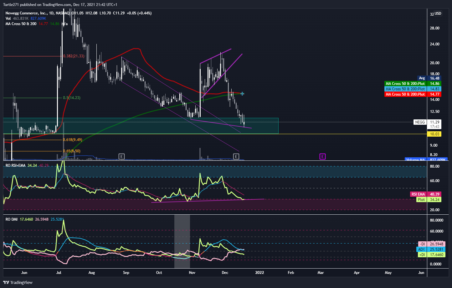 NASDAQ:NEGG Chart Image by Turtle271
