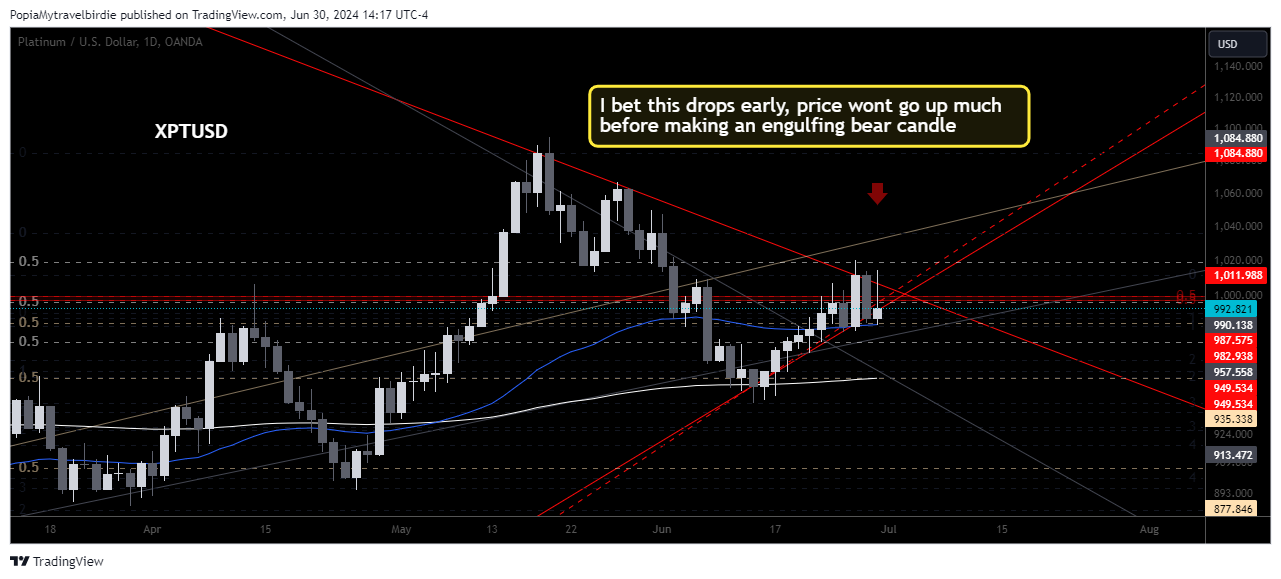 OANDA:XPTUSD Chart Image by PopiaMytravelbirdie