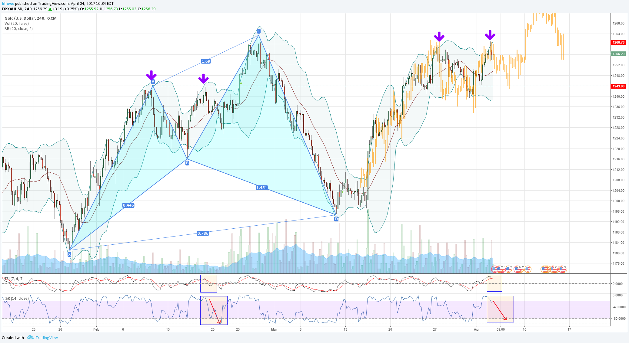  Chart Image