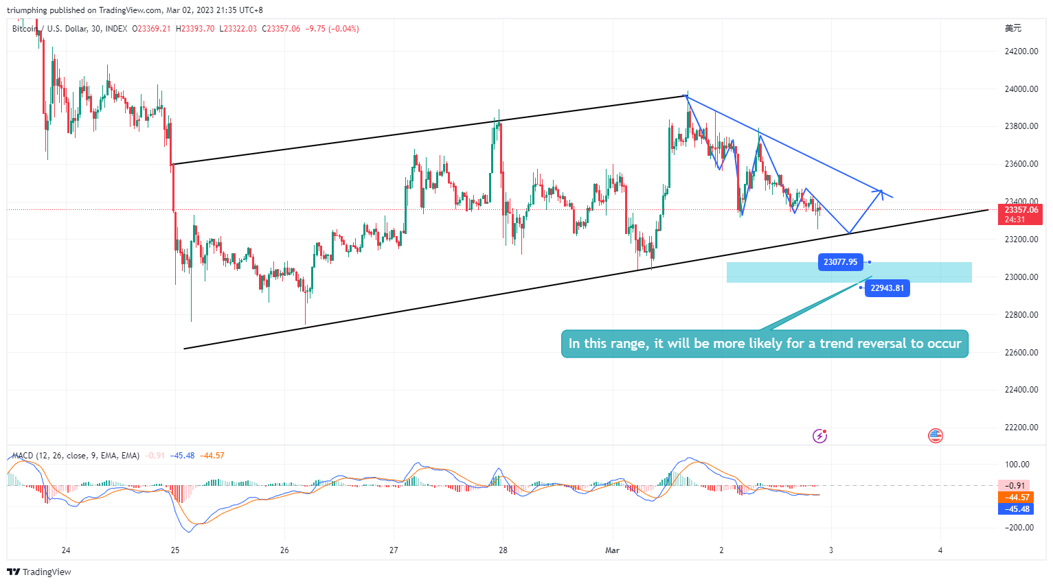 INDEX:BTCUSD Chart Image by triumphing