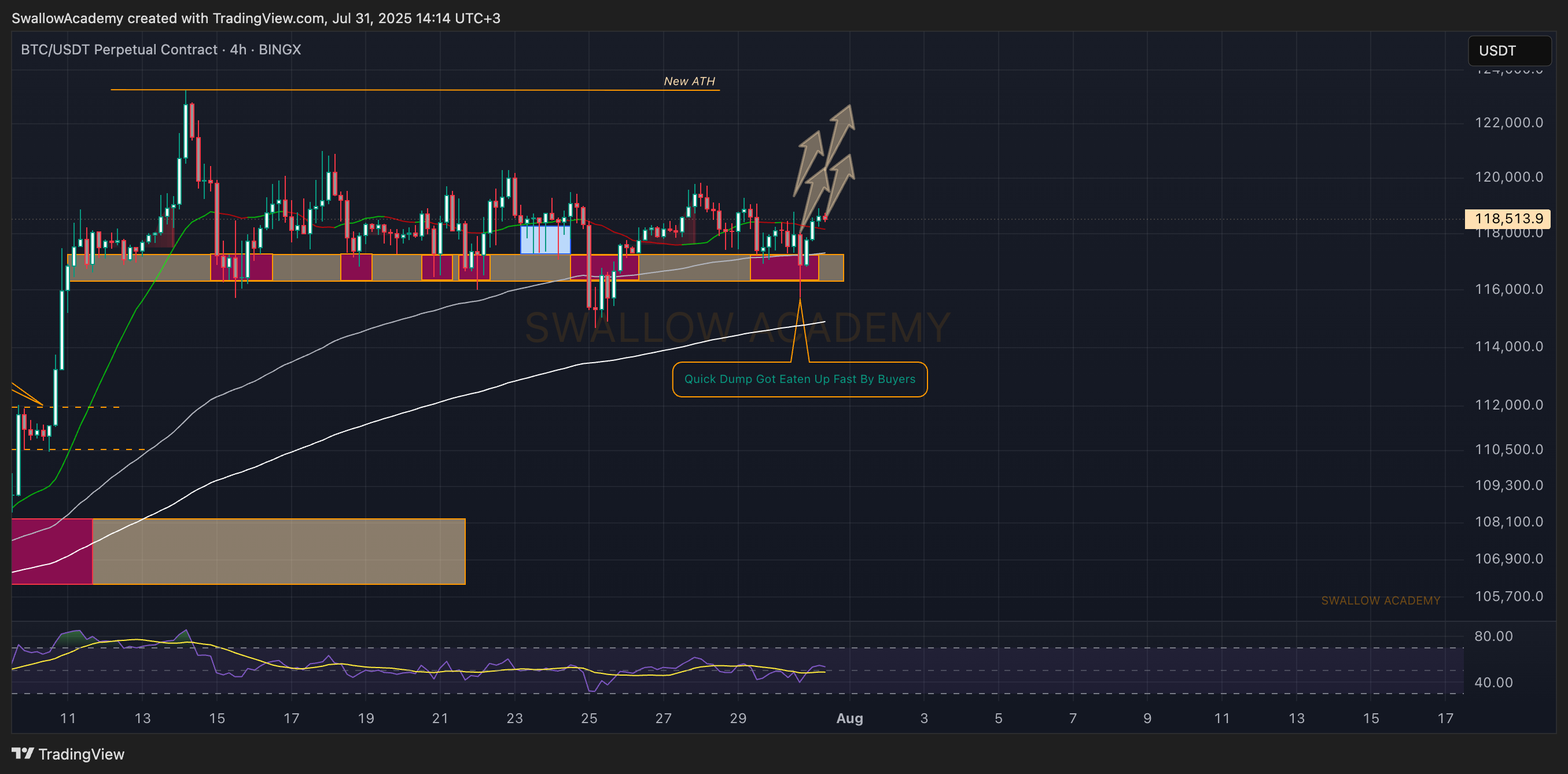BINGX:BTCUSDT.P Chart Image by SwallowAcademy