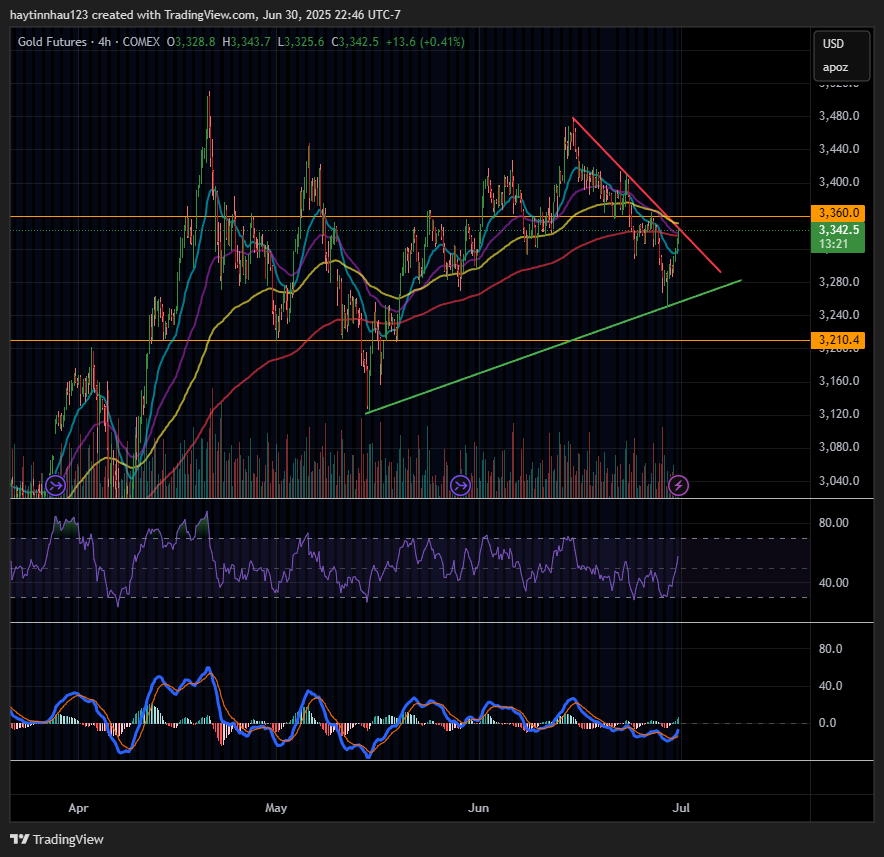 COMEX:GC1! Chart Image by haytinnhau123