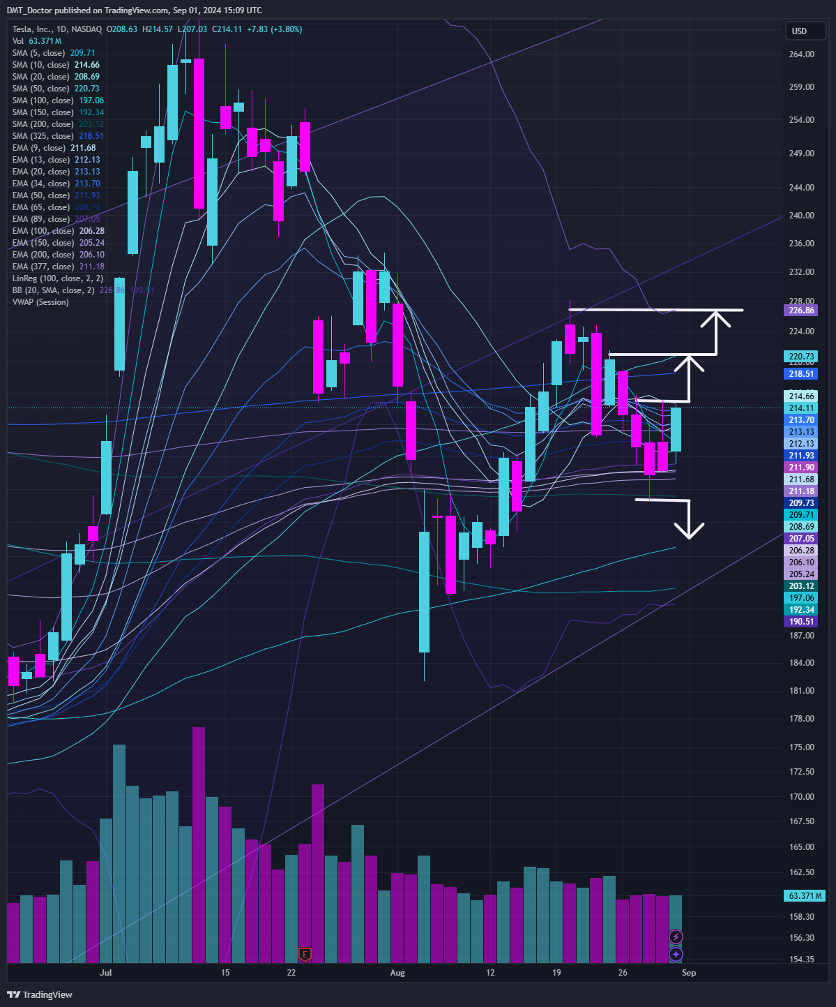 BATS:TSLA Chart Image by DMT_Doctor