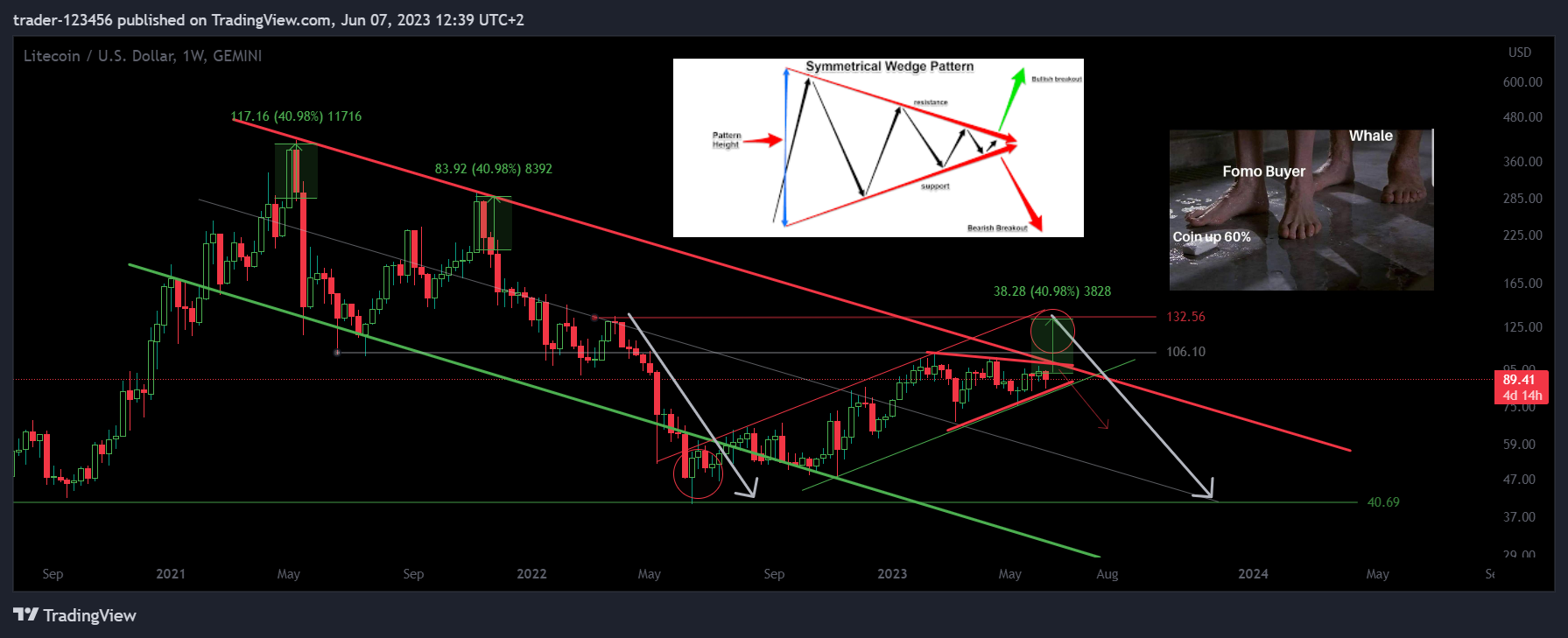 GEMINI:LTCUSD Chart Image by trader-123456