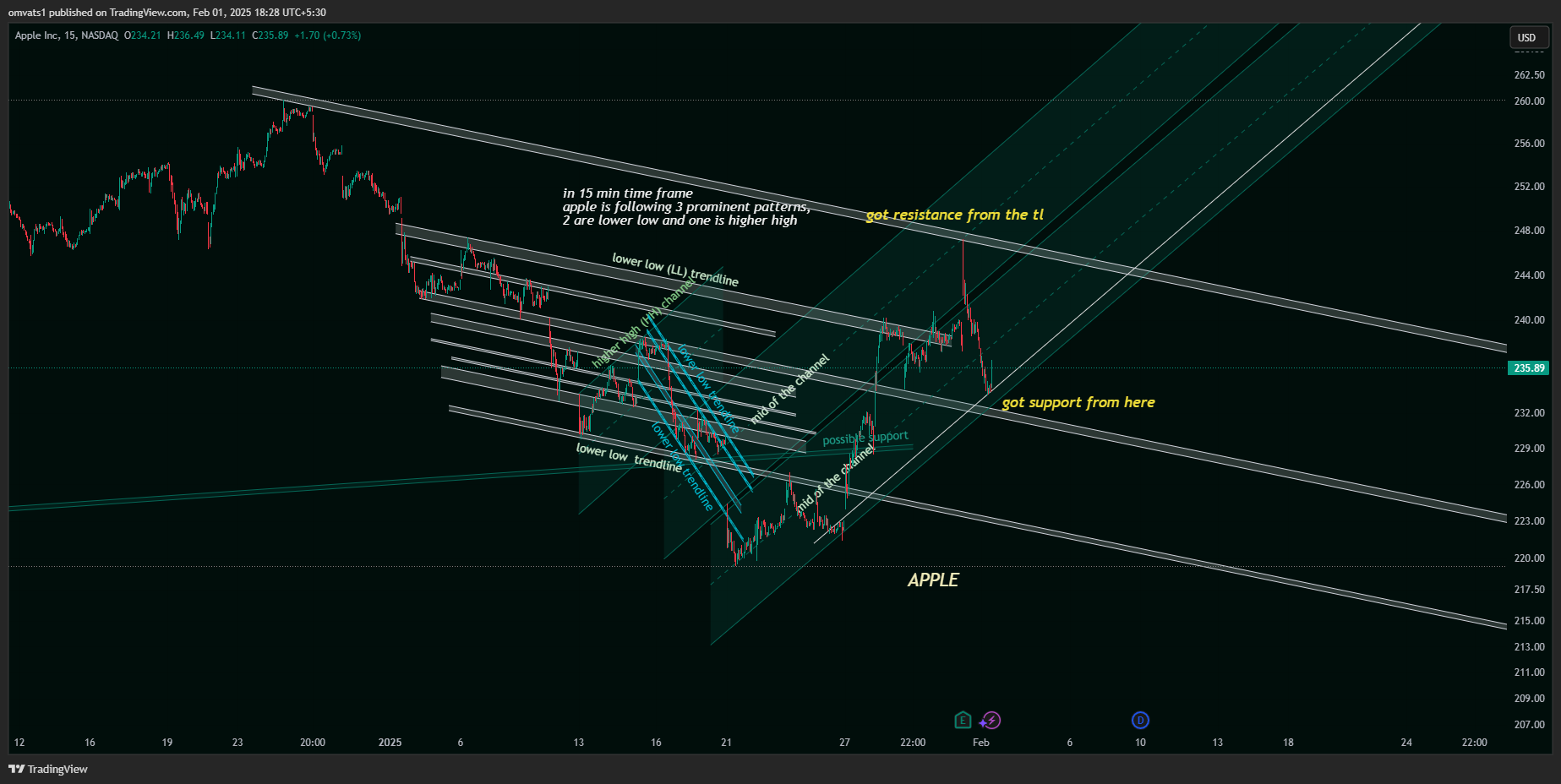 BATS:AAPL Chart Image by omvats1