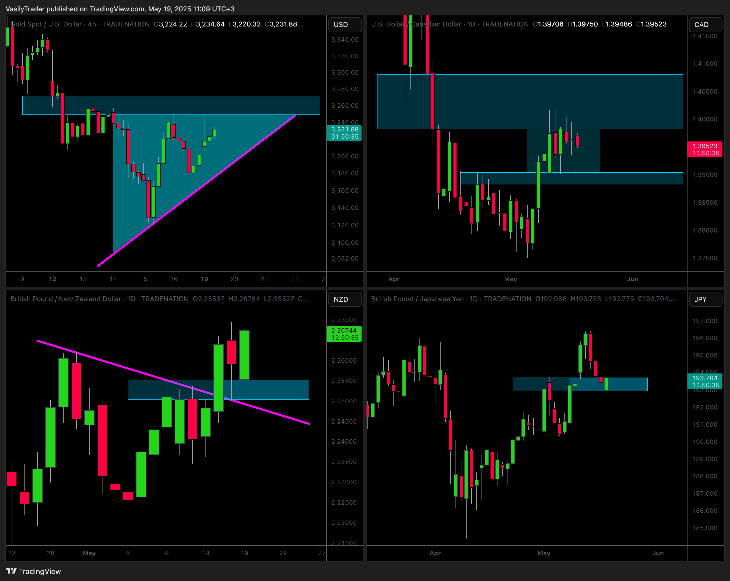 TRADENATION:XAUUSD Chart Image by VasilyTrader