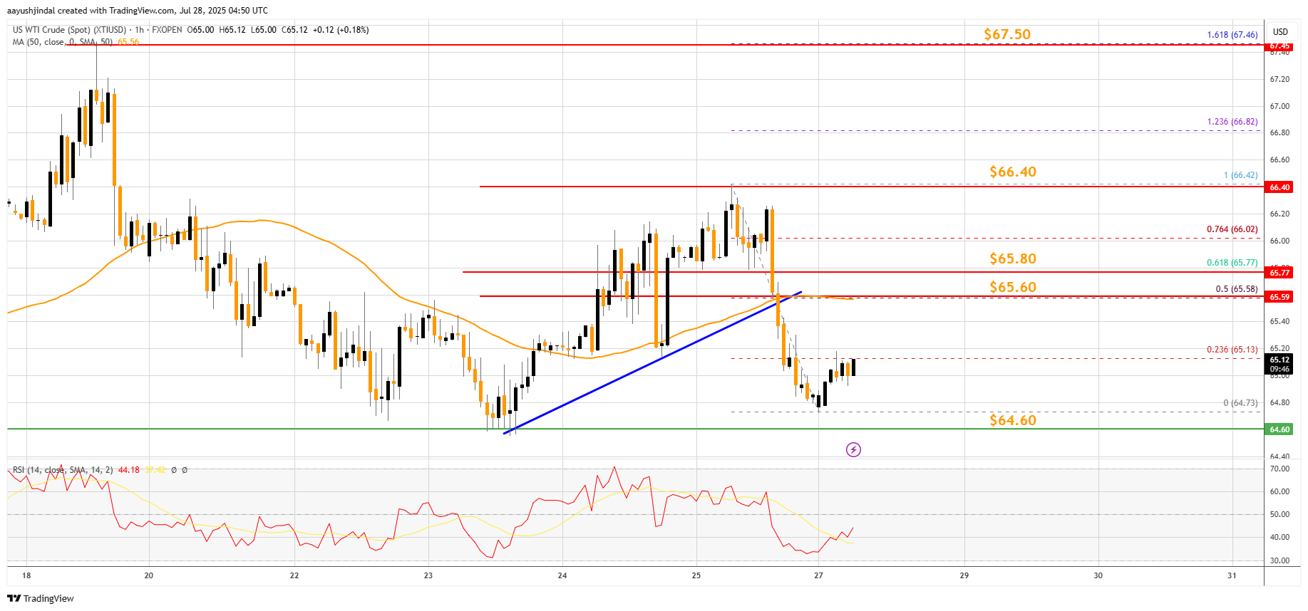 FXOPEN:XTIUSD Chart Image by aayushjindal