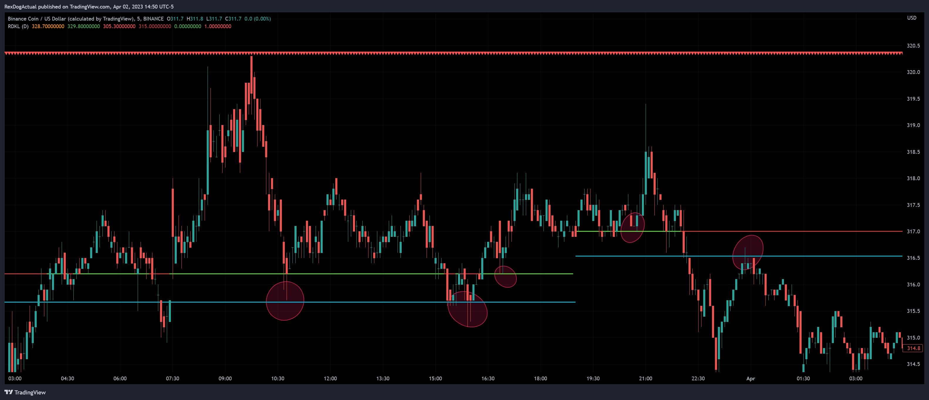BINANCE:BNBUSD Chart Image by RexDogActual