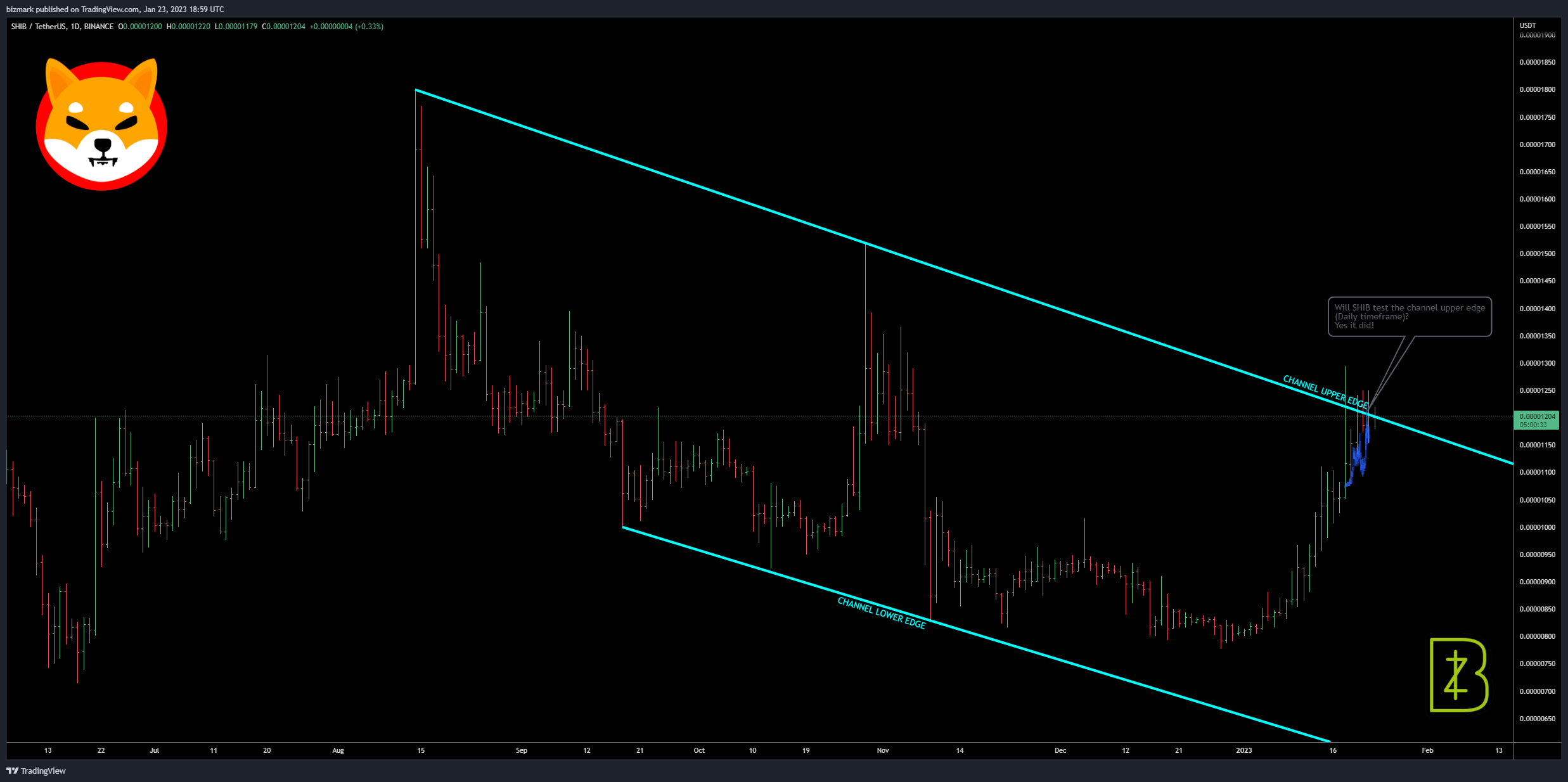 BINANCE:SHIBUSDT Chart Image by bizmark