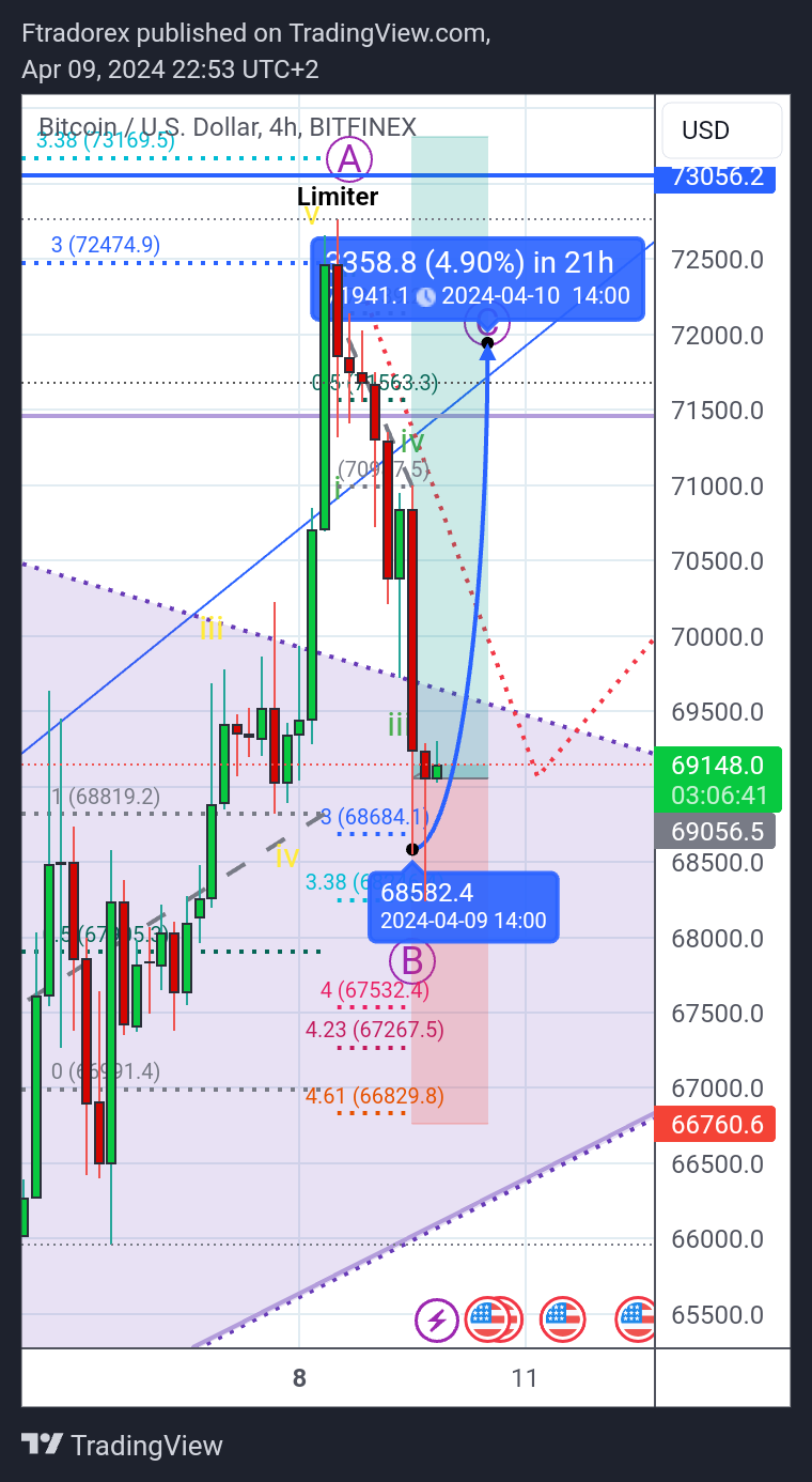 BITFINEX:BTCUSD Chart Image by Ftradorex