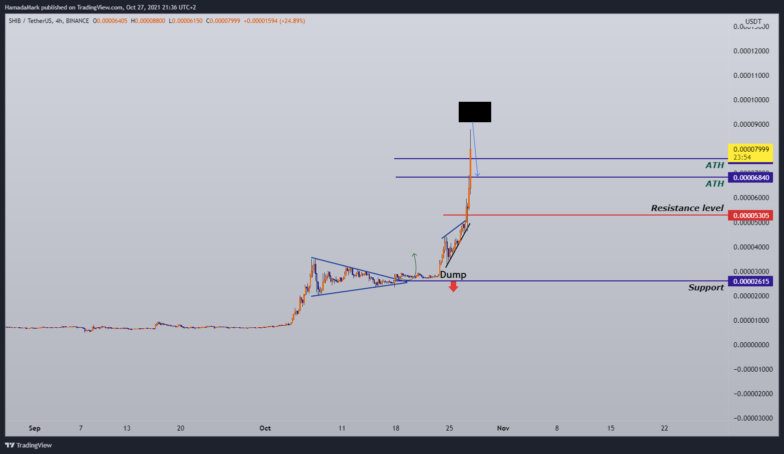 BINANCE:SHIBUSDT Chart Image by HamadaMark