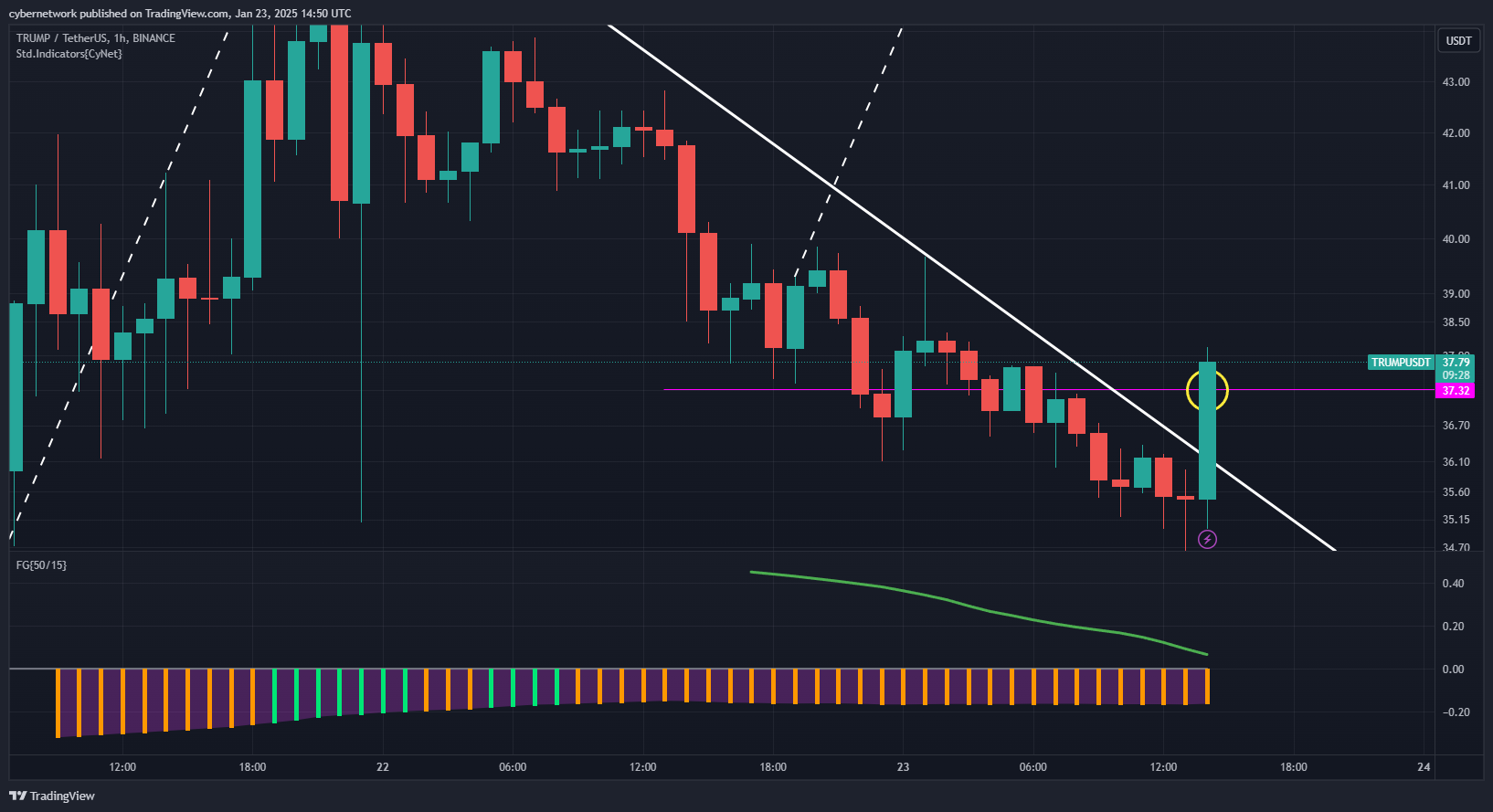 BINANCE:TRUMPUSDT Chart Image by cybernetwork