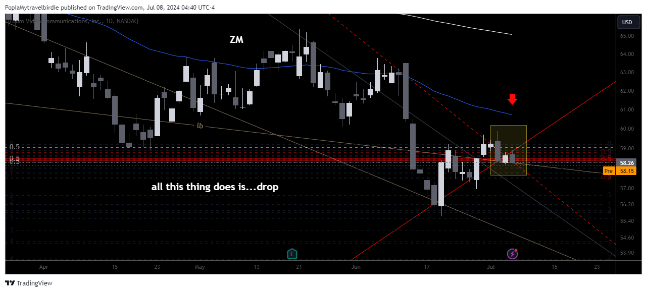 BATS:ZM Chart Image by PopiaMytravelbirdie