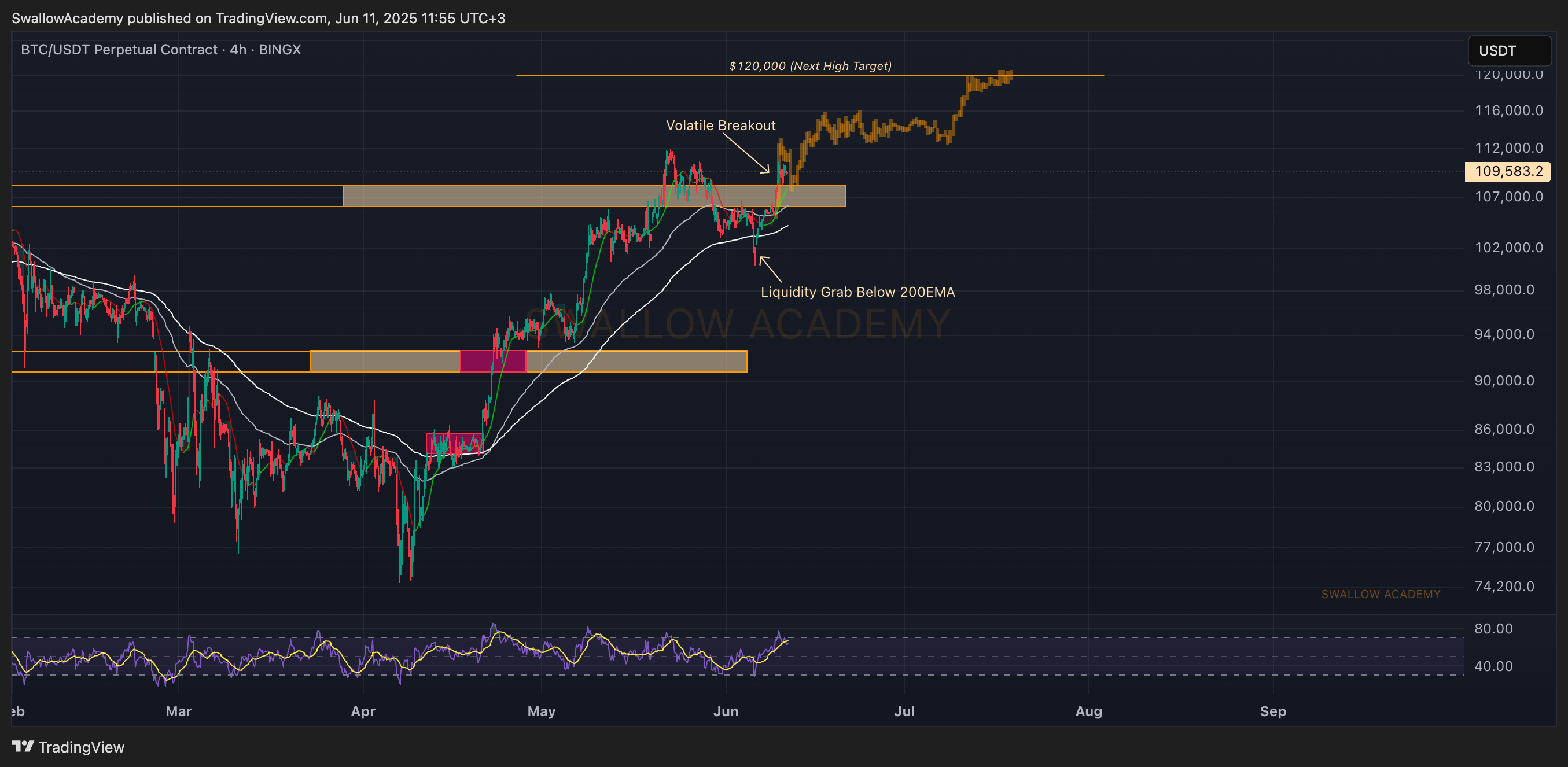 BINGX:BTCUSDT.P Chart Image by SwallowAcademy