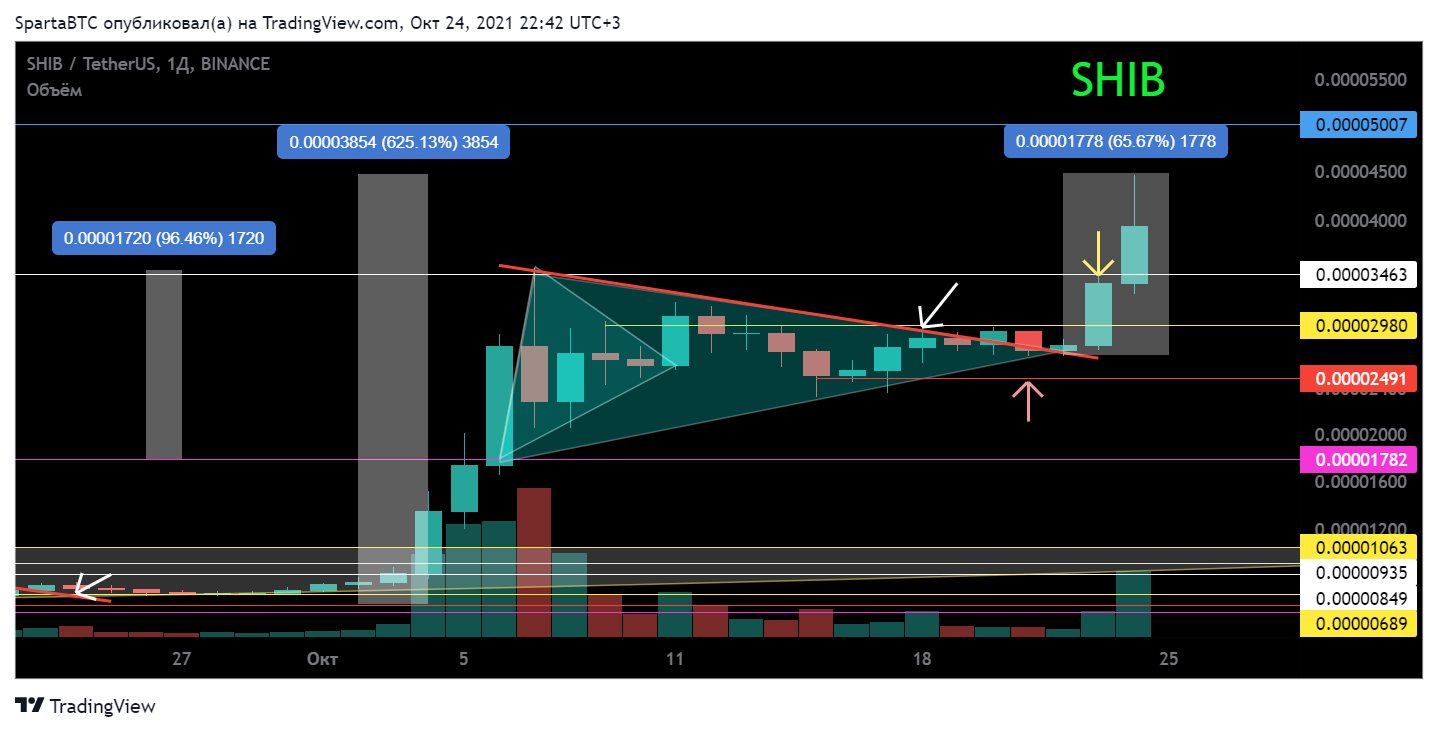 BINANCE:SHIBUSDT Chart Image by SpartaBTC