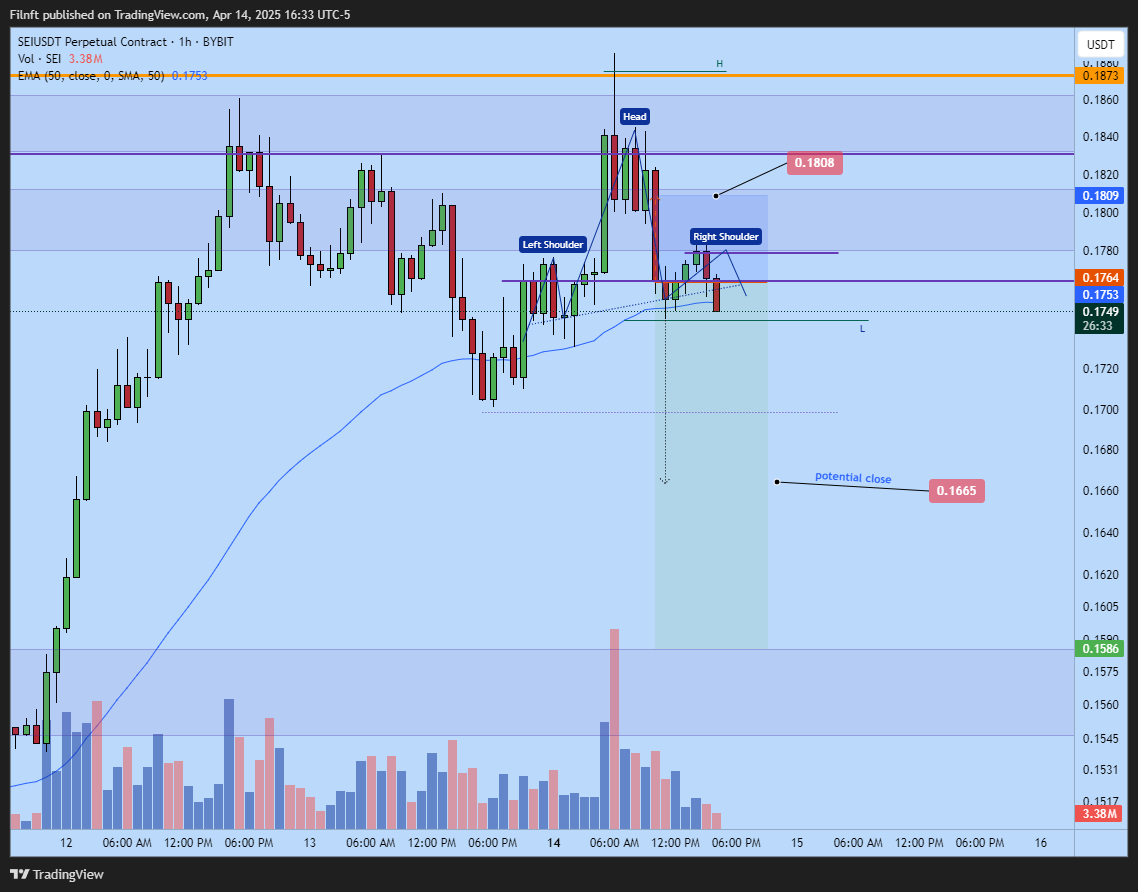 BYBIT:SEIUSDT.P Chart Image by Filnft