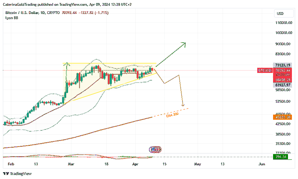 CRYPTO:BTCUSD Chart Image by CaterinaGoldTrading