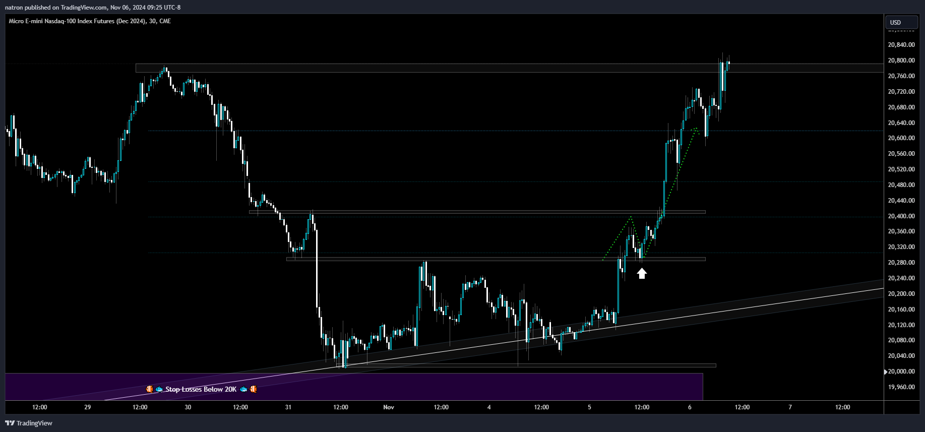 CME_MINI:MNQZ2024 Chart Image by natron