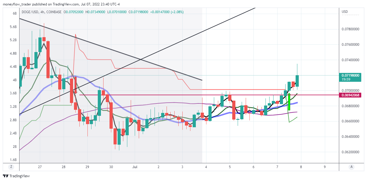 COINBASE:DOGEUSD Chart Image by moneyflow_trader