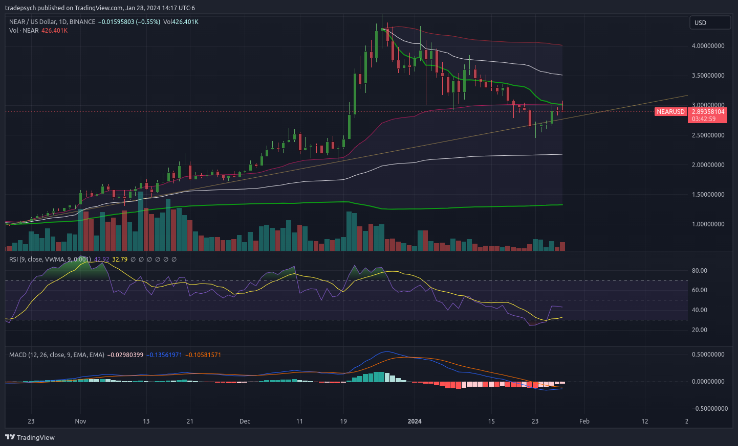 BINANCE:NEARUSD Chart Image by tradepsych