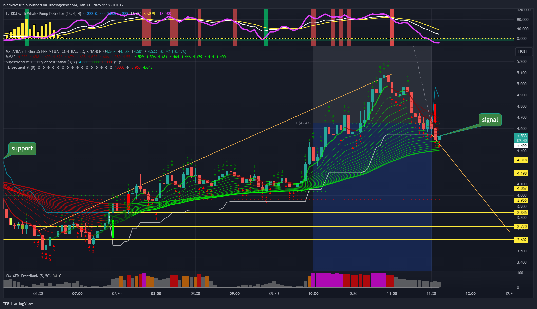 BINANCE:MELANIAUSDT.P Chart Image by blackriver85