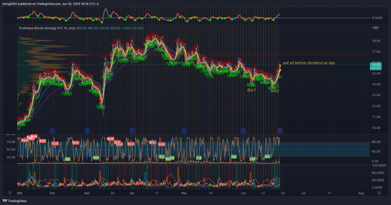 AMEX:BITO Chart Image by johng2001
